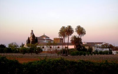 Sábado 23 de Abril peregrinación al Santuario de Loreto con motivo del Año de la Misericordia