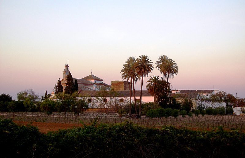 Sábado 23 de Abril peregrinación al Santuario de Loreto con motivo del Año de la Misericordia