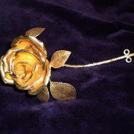Rosa de Pasión